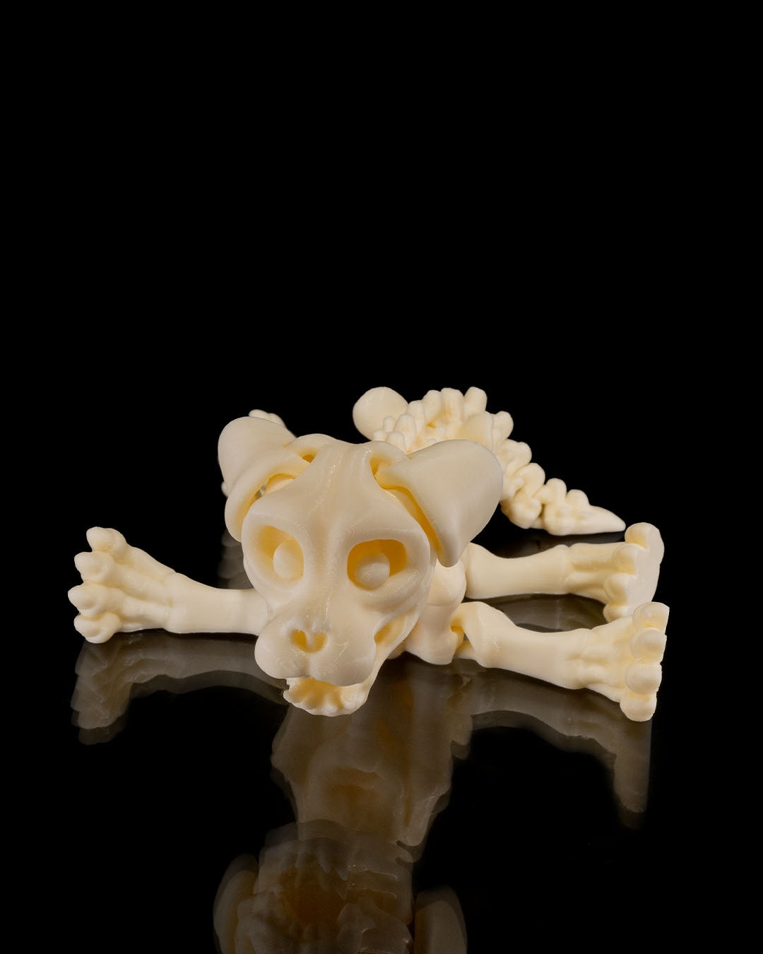 Skeleton Dog | Articulated PetSkeleton Figurine