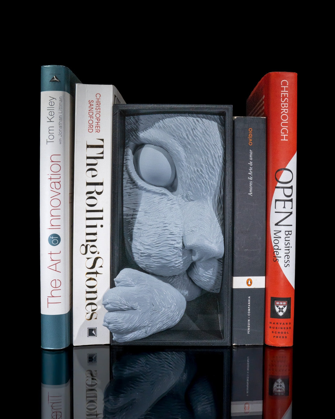Cat’s Curiosity Book Nook
