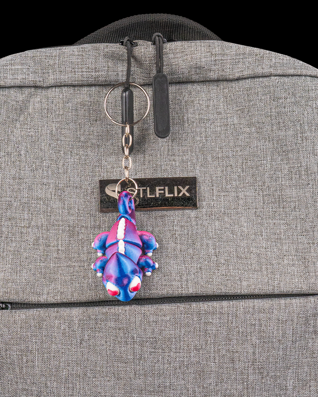 Chamele-Ones | Chameleon Keychain Pair