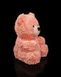 Floral Bear | Rose-Textured Valentine Bear Keepsake Decor