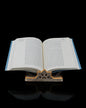 Foundation of Wisdom Book Stand – Brown & Gold Finish | 3D Printed Geometric Book Display