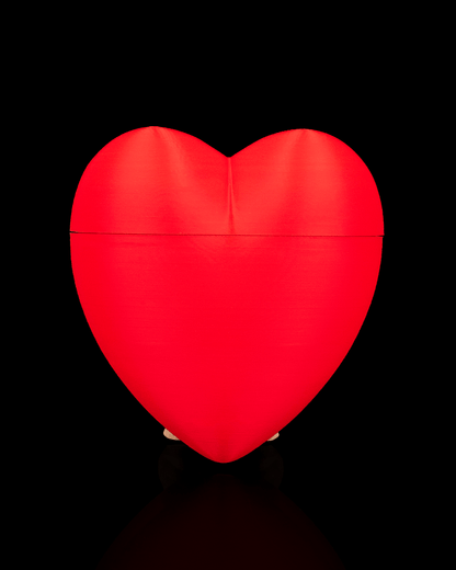 Heart Carrier Container