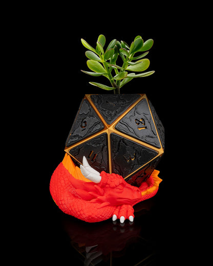 Hoard D20 Planter – A Dragon’s Treasure