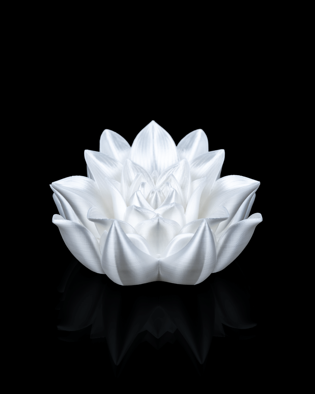 Root of Awakening Book Stand – Custom Color Lotus Display | 3D Printed Book or Altar Stand
