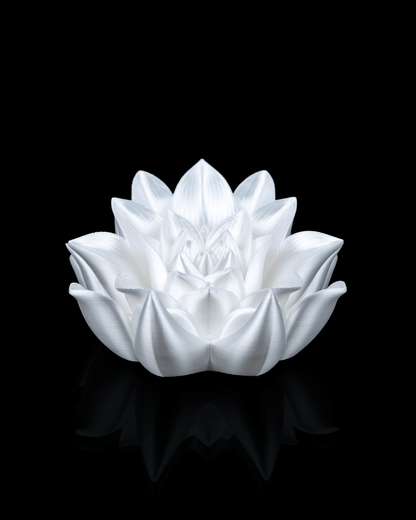 Root of Awakening Book Stand – Custom Color Lotus Display | 3D Printed Book or Altar Stand