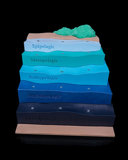 Sea Through | Layered Ocean Depths Learning Model
