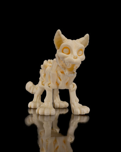 Skeleton Cat | Articulated PetSkeleton Figurine