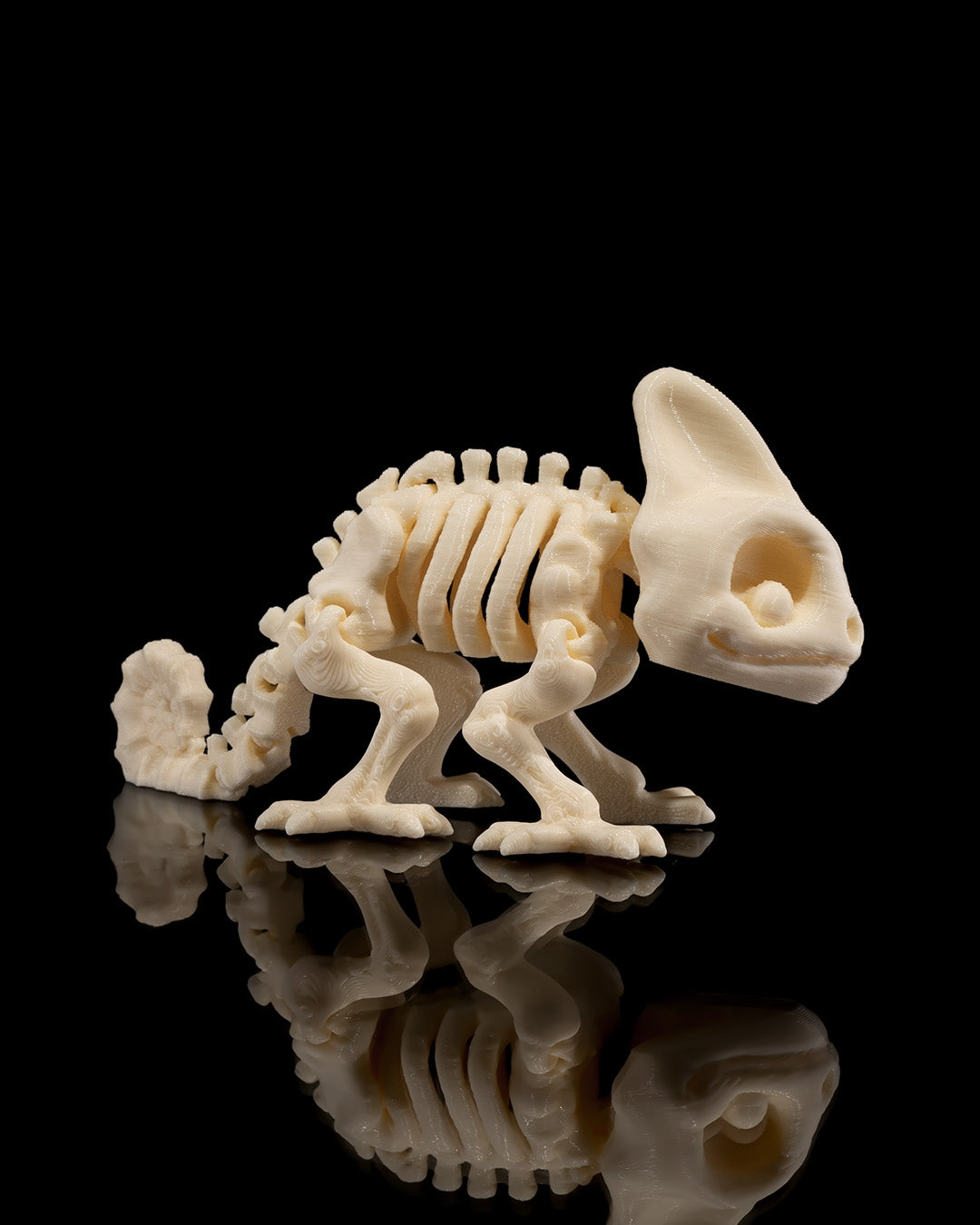 Skeleton Chameleon | Articulated PetSkeleton Figurine
