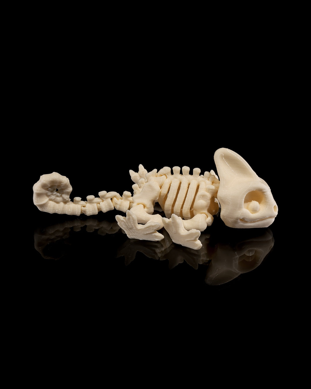 Skeleton Chameleon | Articulated PetSkeleton Figurine