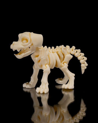 Skeleton Dog | Articulated PetSkeleton Figurine