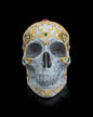 Skull with a Secret Deck Box