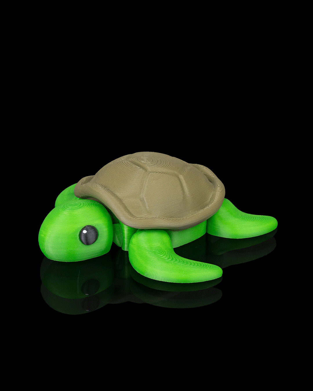 Rest in Nest Slow Turtle