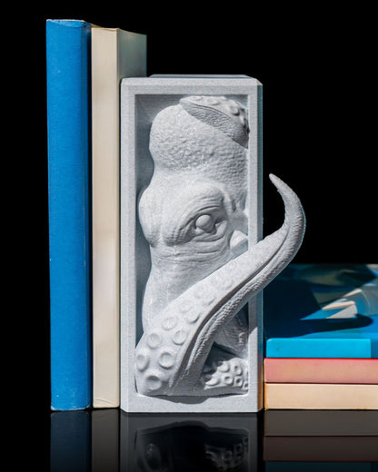 Wise Librarian Book Nook