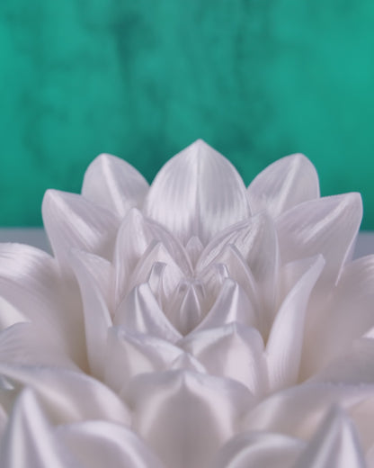 Root of Awakening Book Stand – Custom Color Lotus Display | 3D Printed Book or Altar Stand