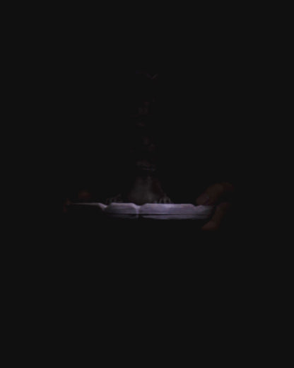 Toad Totem Backflow Burner